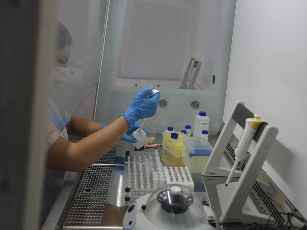 В Белгороде создают лаборатории для микробиологических и генетических исследований