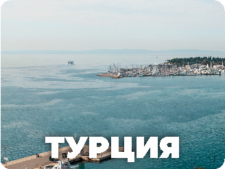 Вкусы Стамбула: что попробовать белгородцам в самом крупном городе Турции