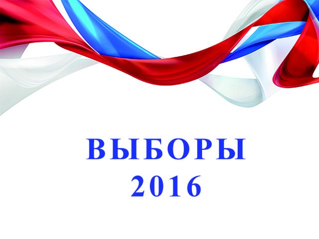 В Белгородской области на выборах в Госдуму будет участвовать один самовыдвиженец