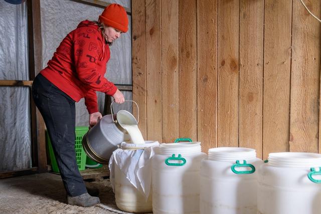 Выработка молока в Белгородской области увеличилась на 8,7 %