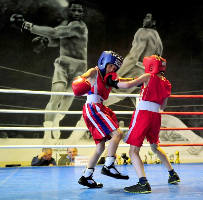 В Белгороде прошёл боксёрский юношеский турнир памяти Николая Ватутина - Изображение 12