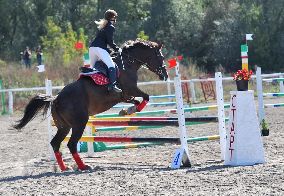В Белгороде прошёл Кубок губернатора по конному спорту - Изображение 3