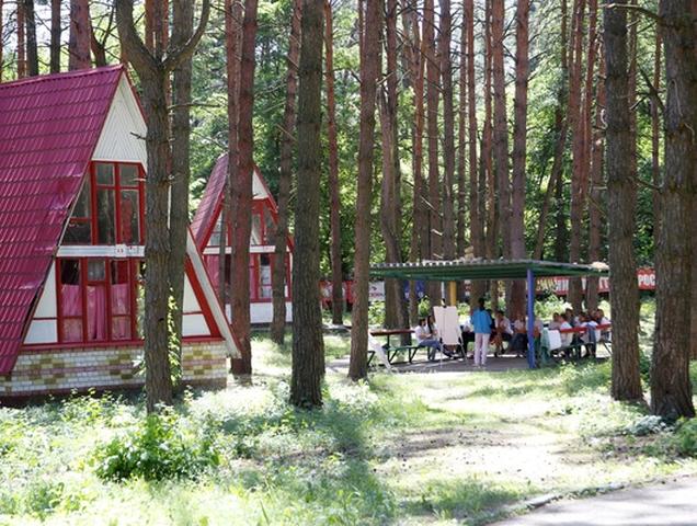Около 128 тыс. белгородских школьников отдохнут в летних лагерях