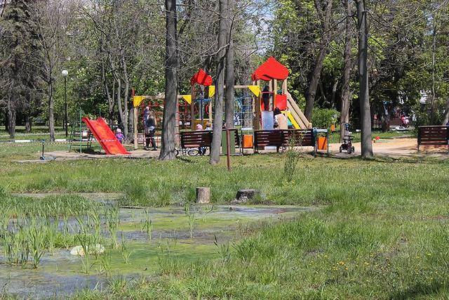 В парке Победы Белгорода установят систему дренажа 