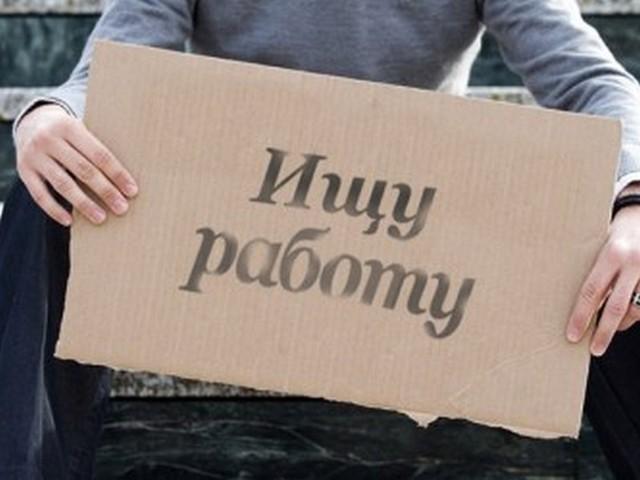В Белгородской области зарегистрировано 7,3 тысячи безработных