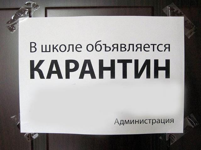 В Белгородской области на карантин закрыли 51 детсад и 152 школы