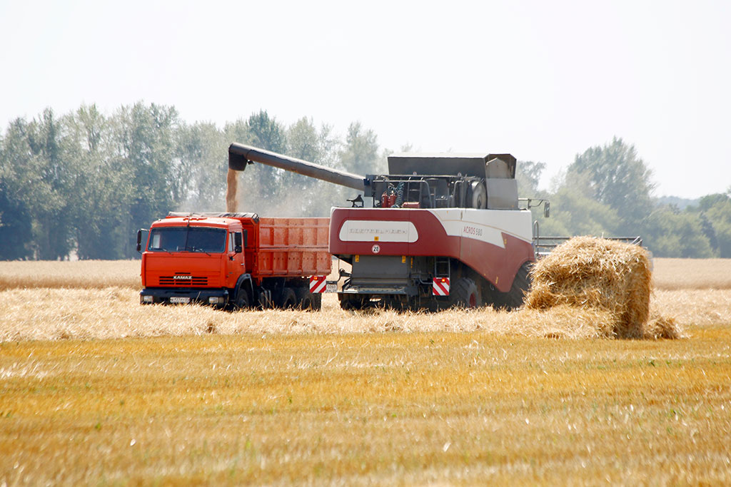Правительство РФ выделило для белгородских аграриев 360 млн рублей