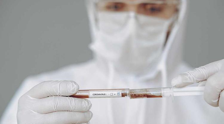 В Старом Осколе за сутки больше всего новых заражённых коронавирусом – 28 человек