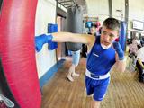 В Белгороде прошёл боксёрский юношеский турнир памяти Николая Ватутина - Изображение 5
