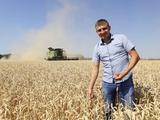 Как убирают хлеб с белгородских полей (фоторепортаж)