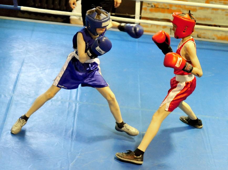 В Белгороде прошёл боксёрский юношеский турнир памяти Николая Ватутина - Изображение 7
