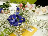 Белгородский цветочный салон «Флорист.ру» встретил своих первых покупателей - Изображение 12