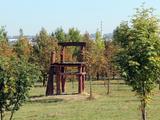 В белгородский ботанический сад пришла осень - Изображение 3