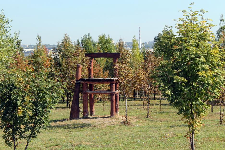 В белгородский ботанический сад пришла осень - Изображение 3