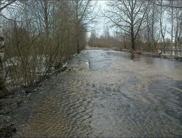 В Белгородской области 12 населённых пунктов могут пострадать от паводка