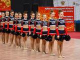 Кубок Белгородской области по чир-спорту собрал почти 250 спортсменов