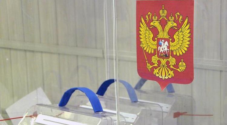 Более 6 тысяч белгородцев хотят стать наблюдателями на голосовании по Конституции