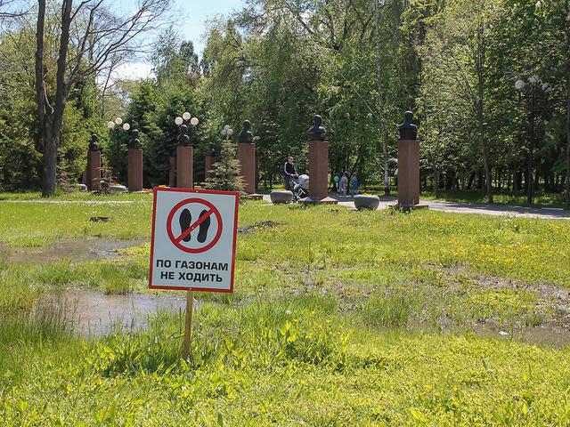 «Надо срочно спасать!» Чем плохо превращение белгородского парка Победы в болото