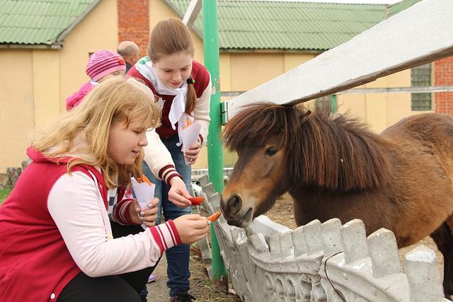 В белгородском зоопарке открыли весенне-летний сезон 