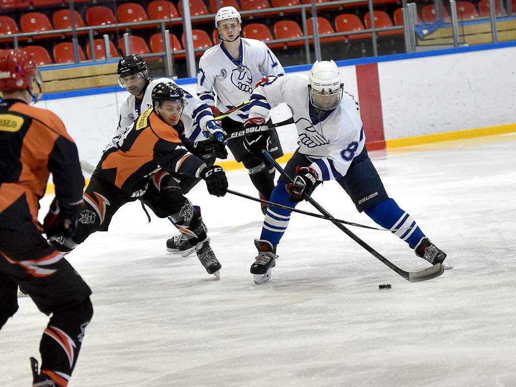 Чемпионом НХЛ Белгородской области стали «Львы»