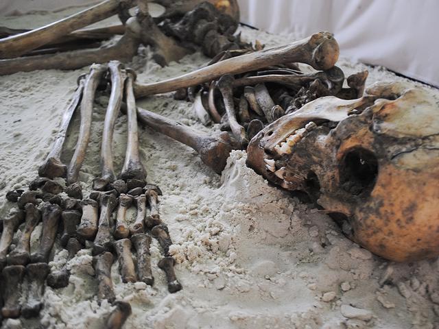 Откуда в Короче скелет, которому 3 500 лет?
