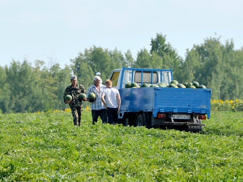 Белгородские фермеры Шляховы будут развивать агротуризм