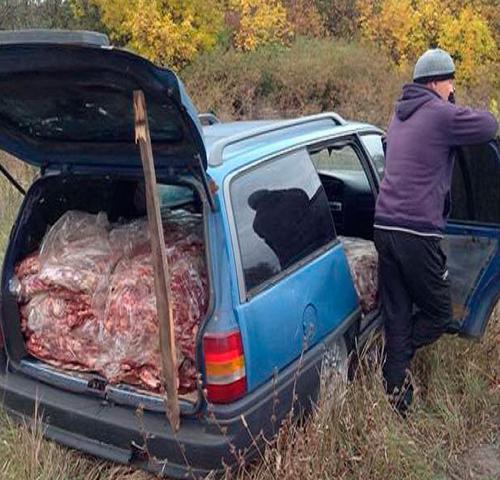 Белгородец пытался ввезти с Украины тонну мяса в легковушке