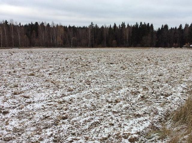 В Белгородской области переоценят земли для сельского хозяйства