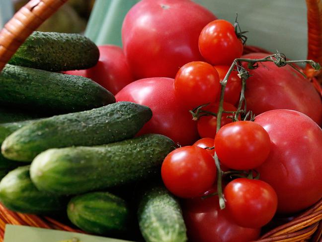 Белгородские власти и дальше будут поддерживать производство овощей малыми хозяйствами