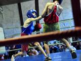 В Белгороде прошёл боксёрский юношеский турнир памяти Николая Ватутина - Изображение 3