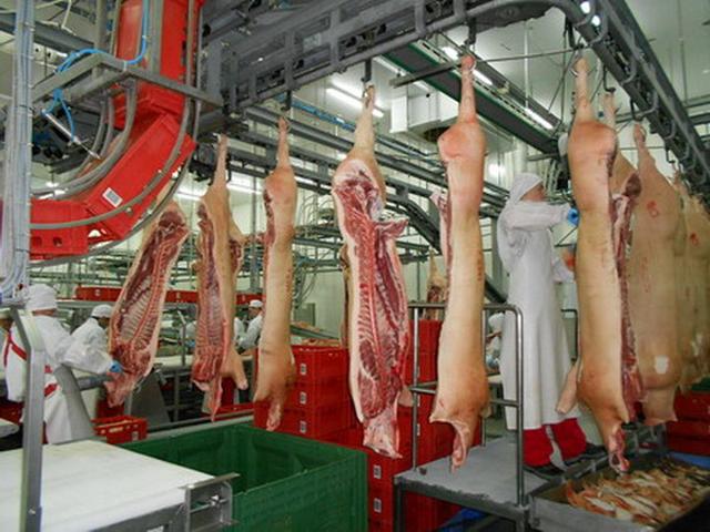 Белгородская область произвела почти пятую часть всего российского мяса 