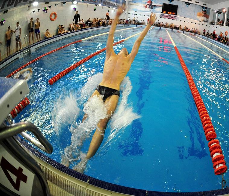 Спортшкола «Спартак» отмечает 50-летие соревнованиями по плаванию - Изображение 4
