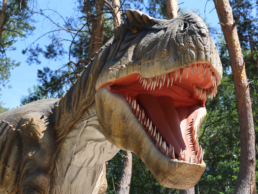 Тираннозавр рекс. Фото пресс-службы «Агро-Белогорья»