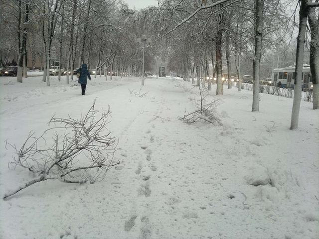 Завтра в Белгородской области ухудшится погода
