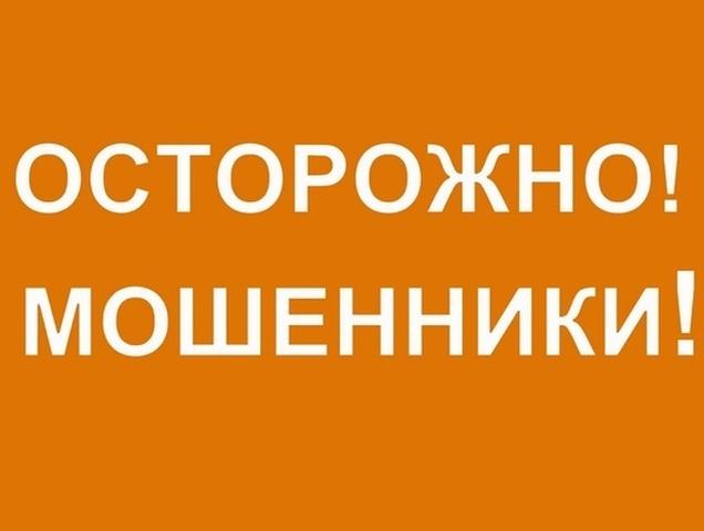 Белгородским предпринимателям от имени налоговой звонят мошенники