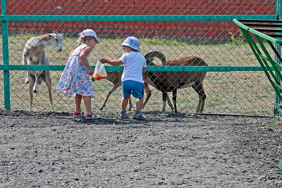 Один день из жизни обитателей белгородского зоопарка - Изображение 2