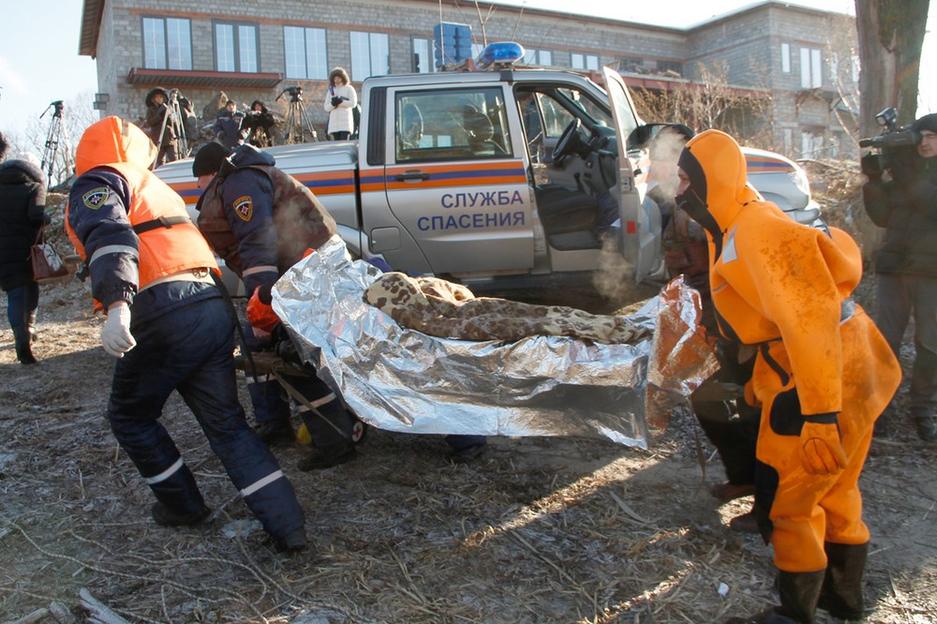 Белгородские спасатели провели учения на льду - Изображение 9