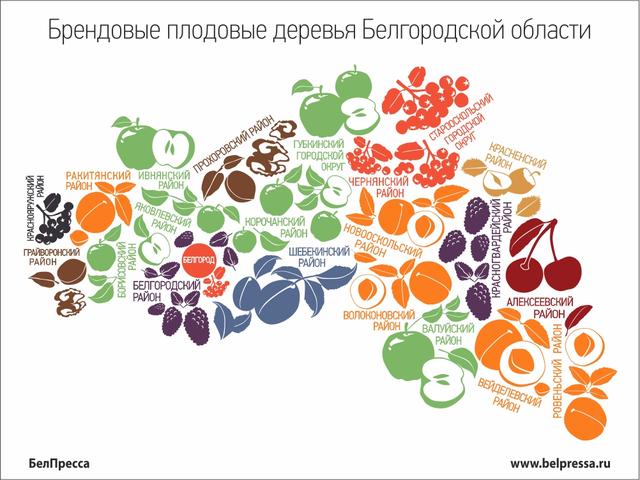 В районах Белгородской области определились с растениями-брендами