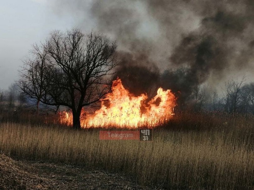 В Валуйском округе произошёл пожар на 15 га земли