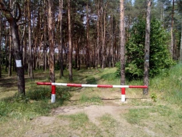 С 2011 года в Белгородской области не допущено ни одного лесного пожара