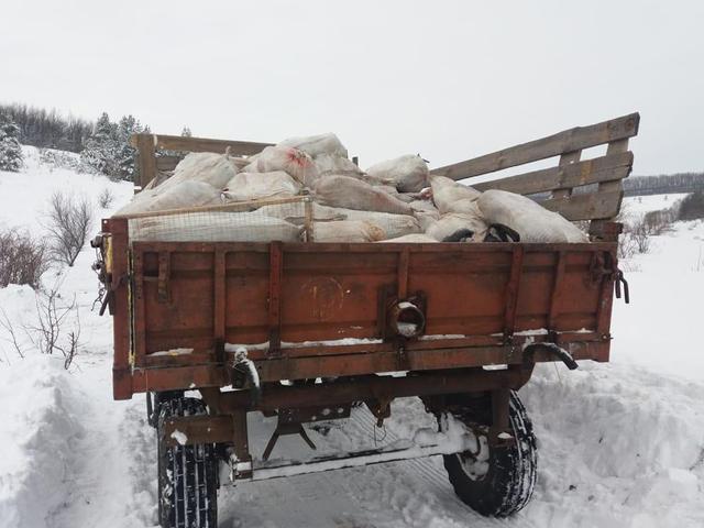 Валуйчане везли с Украины в Россию контрабандное мясо на тракторе