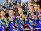 В Белгороде прошли соревнования по эстетической гимнастике - Изображение 21