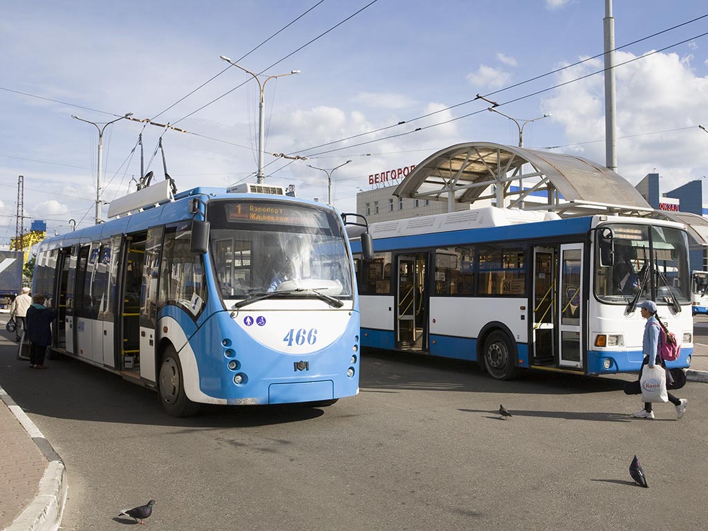 Общественный транспорт Белгородской области будут оформлять в новом стиле