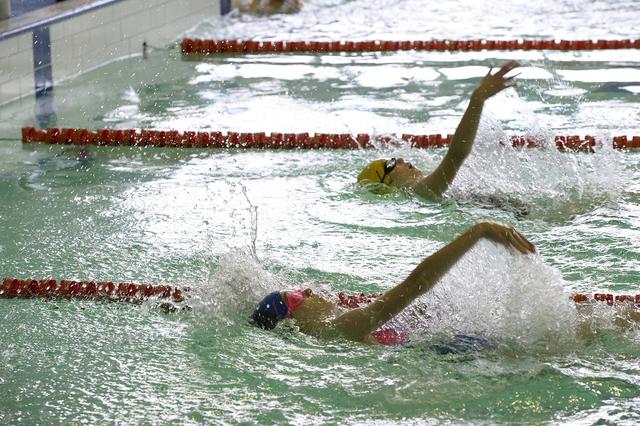 В Губкине прошёл открытый чемпионат по плаванию на призы Лебединского ГОКа*