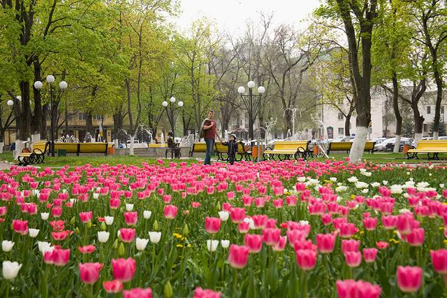 Парки, скверы и дворы: в Белгородской области начали большой проект по благоустройству