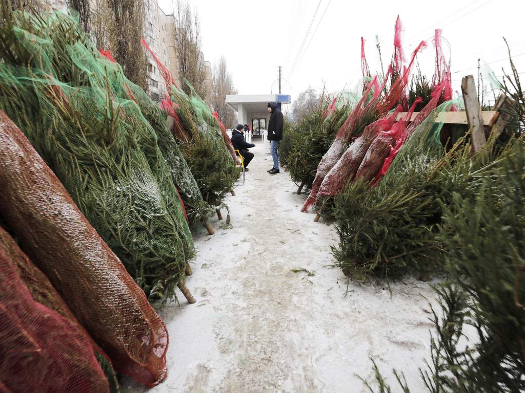 31 декабря в Белгороде будут работать три ёлочных базара
