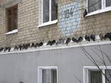 В Белгороде за ночь выпало 10 мм осадков - Изображение 30
