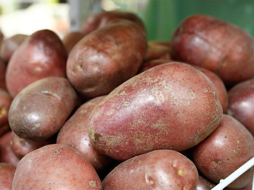 Мнения белгородцев: Выгодно ли сегодня выращивать картофель