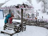 В Белгородской области впервые провели зимнюю «Маланью» - Изображение 8