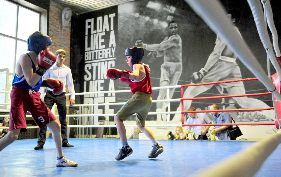 В Белгороде прошёл боксёрский юношеский турнир памяти Николая Ватутина - Изображение 15